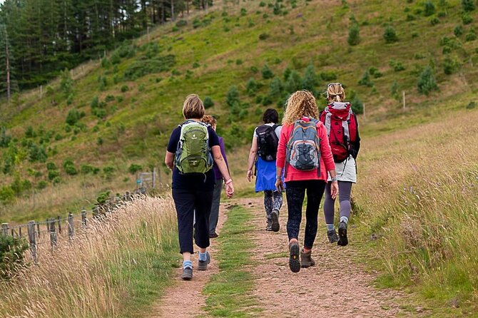 Private Mindfulness and Nature Walk in Edinburgh - The session flow: breathing, silent reflection, and guided meditation