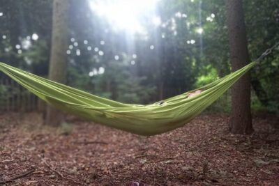 Private Mindfulness and Nature Walk in Edinburgh - Playful yoga on the hill: moving with your senses