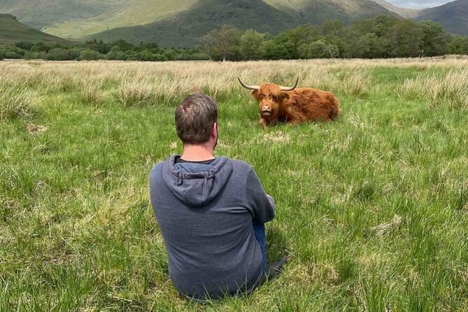 Private Tour to the Stunning Scottish Highlands & Glencoe - Kilchurn Castle ruins and Highland cows: a 30-minute stroll with wow-factor