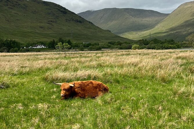 Private Tour to the Stunning Scottish Highlands & Glencoe - How the long drive shapes your experience (and how to enjoy it)