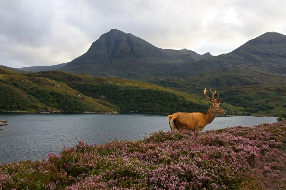 Scotland: Orkney and Northern Coast 5-Day Tour - Key Things I’d Put on Your Radar