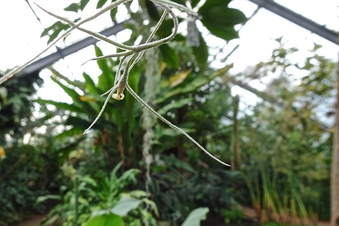Skip-the-Line: Botanic Garden Entry Ticket - Dundee Botanic Garden: a 27-acre walk built for curiosity
