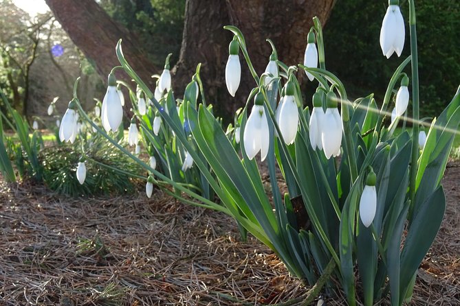 Skip-the-Line: Botanic Garden Entry Ticket - Maps, labels, and quirky extras like fairy doors