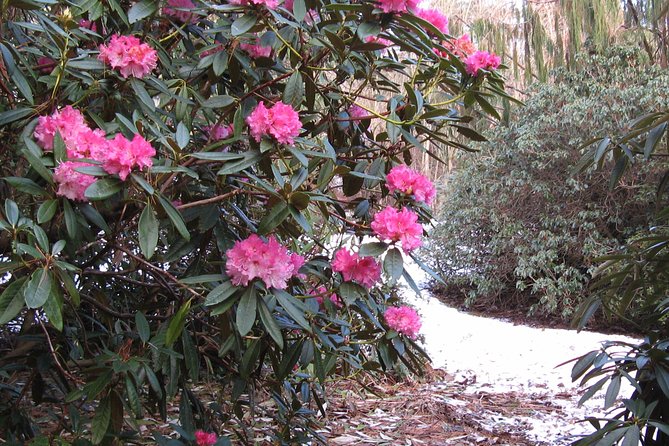Skip-the-Line: Botanic Garden Entry Ticket - Price and value: why $6.89 often feels like a bargain