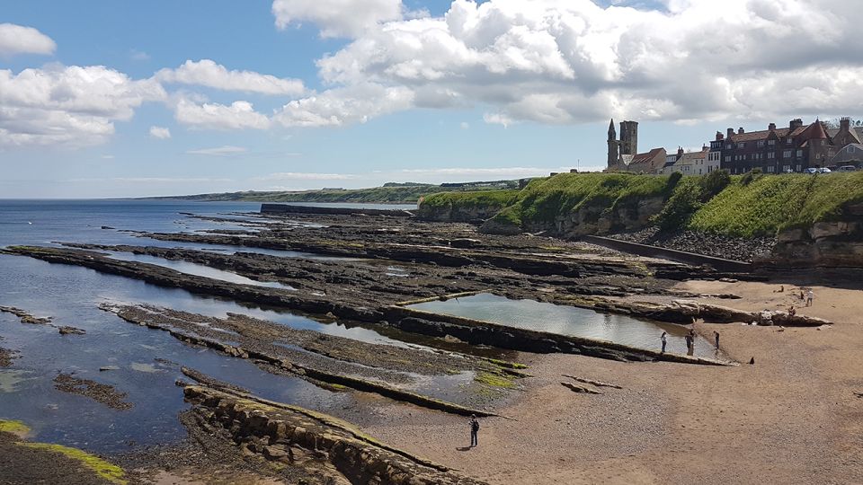 St Andrews: 90-Minute Historical Walking Tour - St Andrews Harbour: a breather with a historical lens