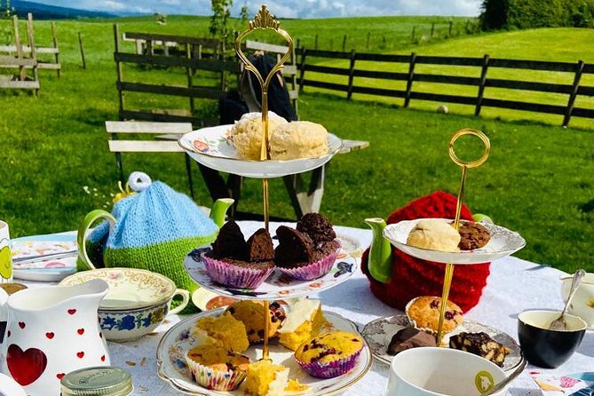 Tea with Naughty Sheep - Meet the Herdwicks: feeding, stroking, and the comedy factor