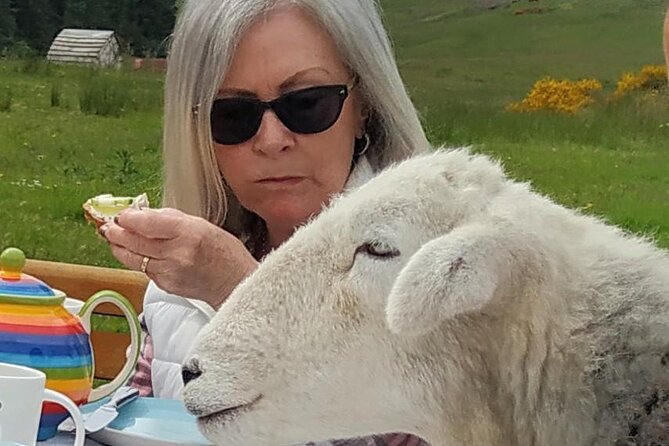 Tea with Naughty Sheep - The Loch Lomond and Trossachs connection: views while you eat